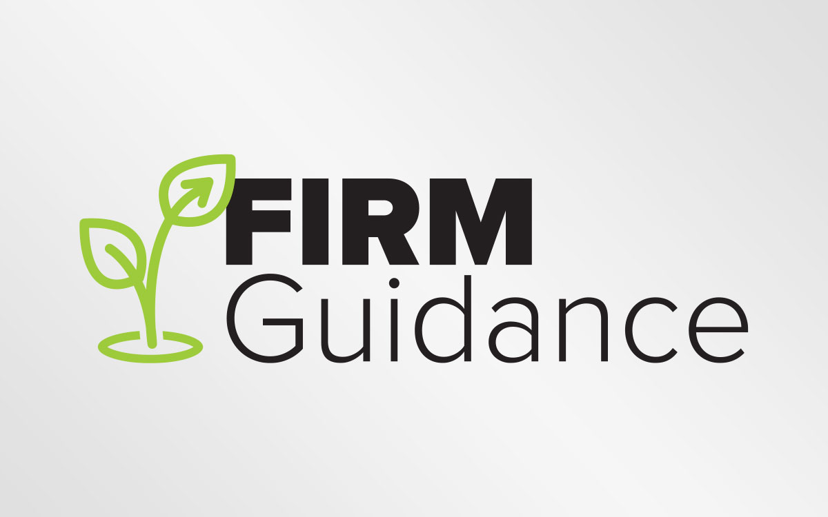 Firm Guidance :: Logo Design + Brand Development